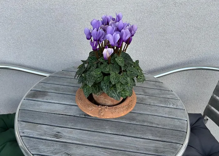 Smart Living Apartment Turin